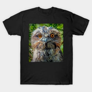 Tawny Frogmouth Chick T-Shirt